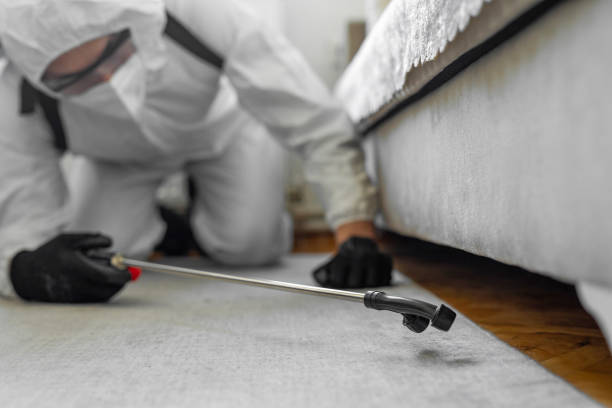Professional Cockroach Control technician working in Dawson, MN